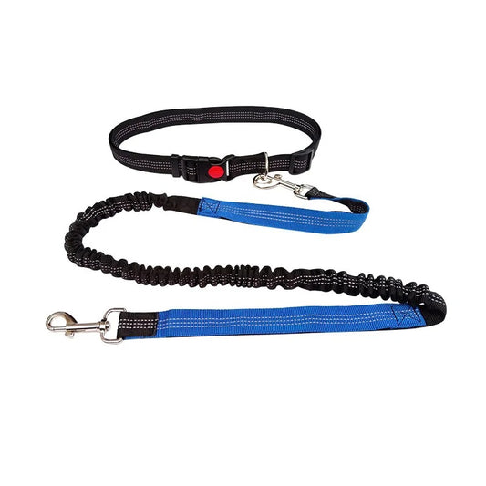 Dolce Soul Freedom™ | Hands-Free Dog Leash with Reflective Safety & Shock Absorption