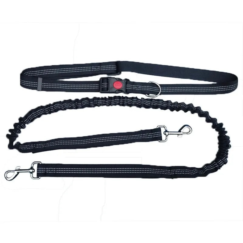 Dolce Soul Freedom™ | Hands-Free Dog Leash with Reflective Safety & Shock Absorption