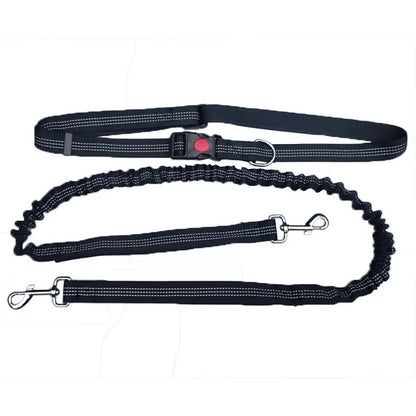 Dolce Soul Freedom™ | Hands-Free Dog Leash with Reflective Safety & Shock Absorption