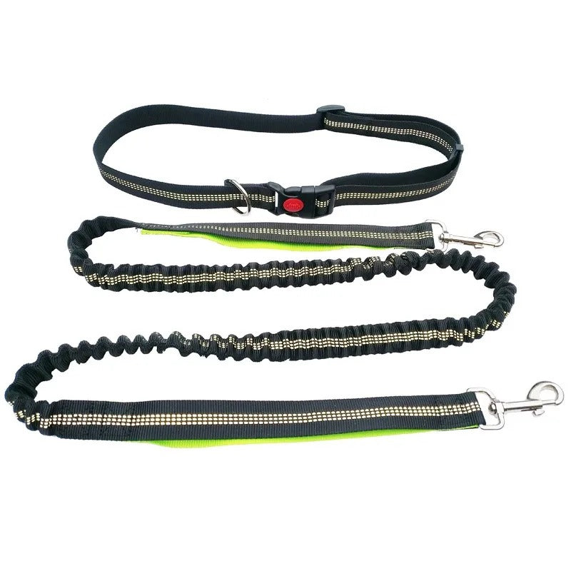 Dolce Soul Freedom™ | Hands-Free Dog Leash with Reflective Safety & Shock Absorption