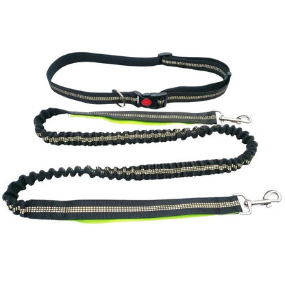Dolce Soul Freedom™ | Hands-Free Dog Leash with Reflective Safety & Shock Absorption