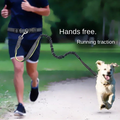 Dolce Soul Freedom™ | Hands-Free Dog Leash with Reflective Safety & Shock Absorption