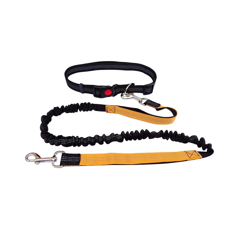 Dolce Soul Freedom™ | Hands-Free Dog Leash with Reflective Safety & Shock Absorption