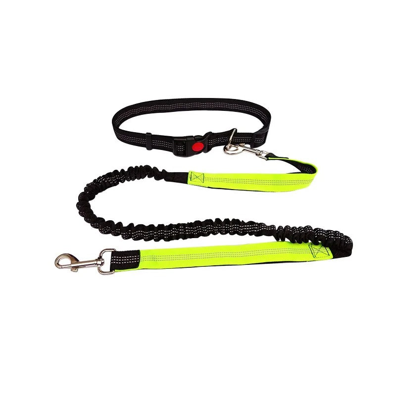 Dolce Soul Freedom™ | Hands-Free Dog Leash with Reflective Safety & Shock Absorption