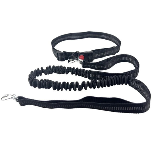Dolce Soul Freedom™ | Hands-Free Dog Leash with Reflective Safety & Shock Absorption