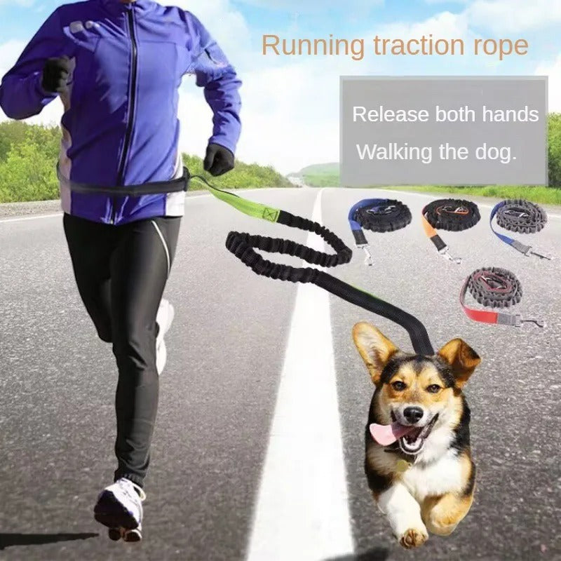 Dolce Soul Freedom™ | Hands-Free Dog Leash with Reflective Safety & Shock Absorption