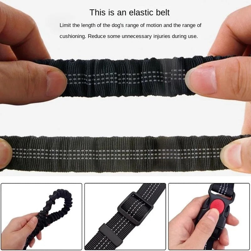 Dolce Soul Freedom™ | Hands-Free Dog Leash with Reflective Safety & Shock Absorption