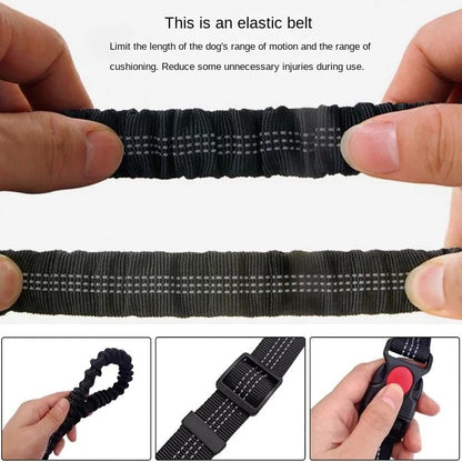 Dolce Soul Freedom™ | Hands-Free Dog Leash with Reflective Safety & Shock Absorption