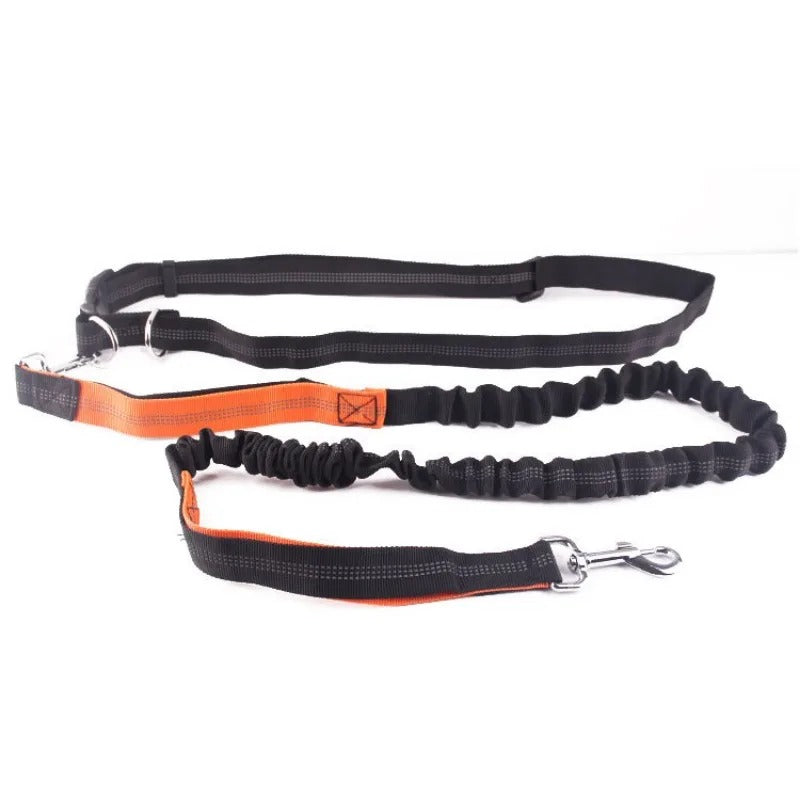 Dolce Soul Freedom™ | Hands-Free Dog Leash with Reflective Safety & Shock Absorption
